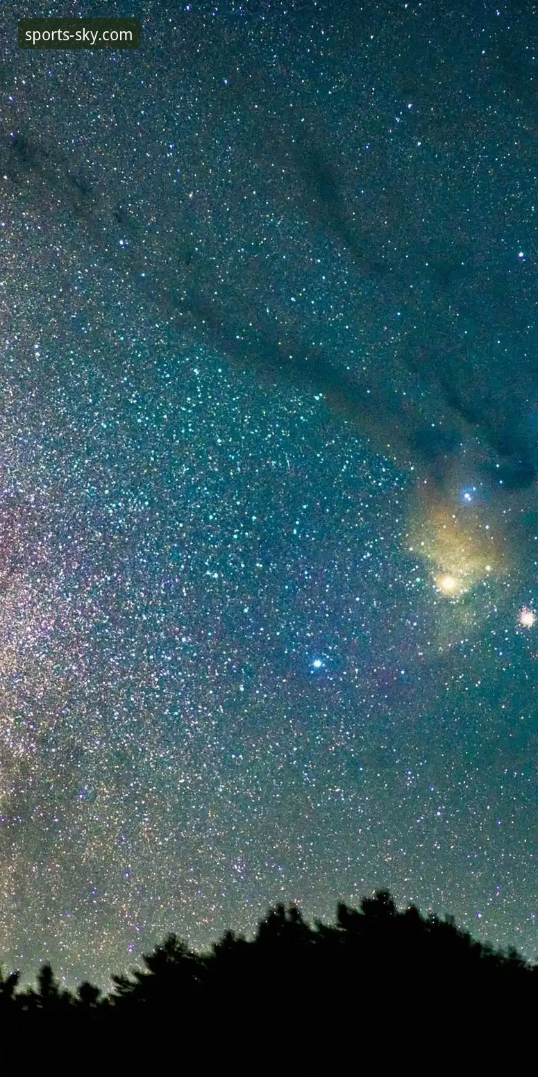 5步解锁星空入口9Z8A福利的正确姿势